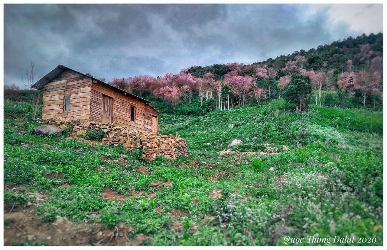 Vanila House Dalat Eksteriør bilde
